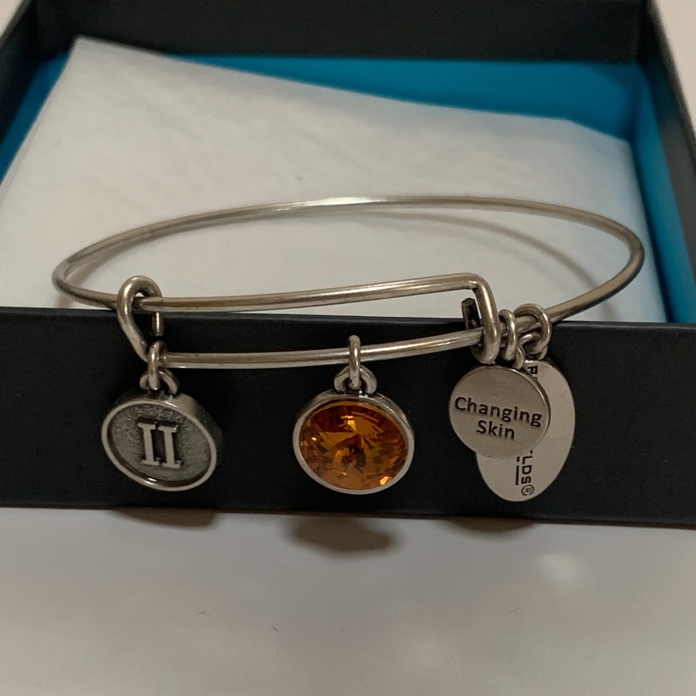 Rodan + And Fields Level Ii Dangle Bracelet - image 1